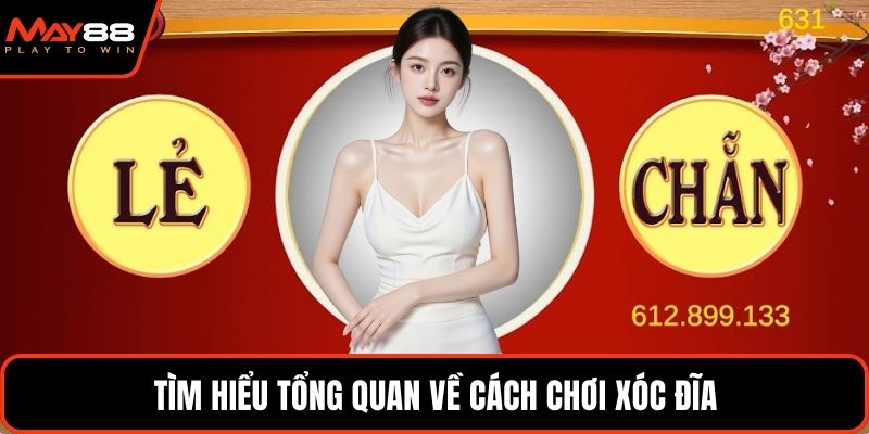 Tìm hiểu tổng quan về cách chơi xóc đĩa